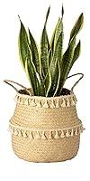 Algopix Similar Product 20 - Artera Woven Seagrass Plant Basket 