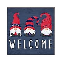 Algopix Similar Product 5 - Fan Creations Ole Miss Welcome Gnomes