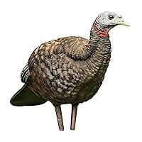Algopix Similar Product 6 - AVIANX LCD Breeder Hen Turkey Decoy 