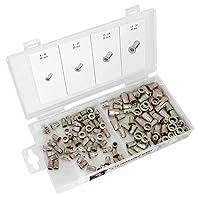 Algopix Similar Product 13 - Performance Tool W5251 Rivet Assortment