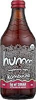 Algopix Similar Product 1 - HUMM KOMBUCHA Organic Raspberry Hops