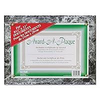 Algopix Similar Product 6 - Nudell Award Plaque 13 x 105 Black