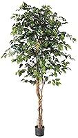 Algopix Similar Product 12 - Nearly Natural 6ft. Ficus Silk Tree