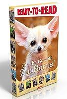 Algopix Similar Product 4 - On the Go with ZooBorns Boxed Set