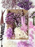 Algopix Similar Product 3 - Real Dried Pressed Flowers Plant