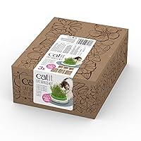 Algopix Similar Product 6 - Catit Cat Toys Cat Grass Seeds Set of