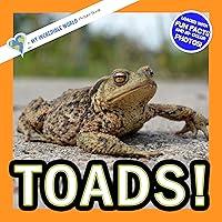 Algopix Similar Product 17 - Toads A My Incredible World Picture