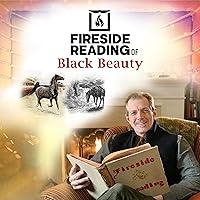 Algopix Similar Product 12 - Fireside Reading of Black Beauty