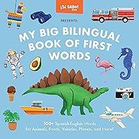 Algopix Similar Product 2 - My Big Bilingual Book of First Words