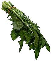 Algopix Similar Product 17 - Organic Dandelion Greens, 1 Bunch