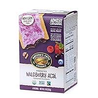 Algopix Similar Product 18 - Natures Path Organic Toaster Pastries