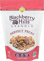 Algopix Similar Product 14 - BLACKBERRY HILLS BAKERY Pecan Granola