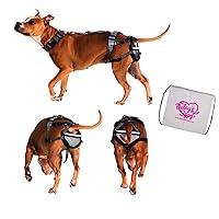 Algopix Similar Product 2 - PABS Pet AntiBreeding System Chastity