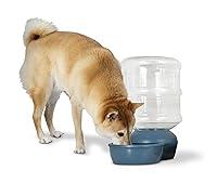 Algopix Similar Product 3 - Aspen Pet LeBistro Gravity Waterer for