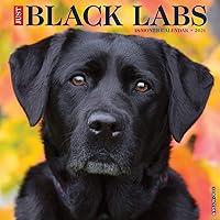 Algopix Similar Product 15 - Just Black Labs 2021 Wall Calendar Dog