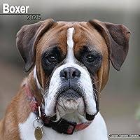 Algopix Similar Product 19 - Boxer Euro Calendar 2025  Square Dog