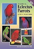 Algopix Similar Product 15 - A Guide to Eclectus Parrots as Pet and