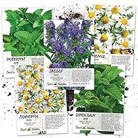 Algopix Similar Product 8 - Seed Needs Medicinal Herb Seed Packet