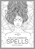 Algopix Similar Product 20 - The Little Book of Spells An