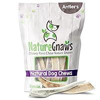 Algopix Similar Product 8 - Nature Gnaws Deer Antlers for Small
