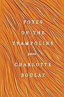 Algopix Similar Product 6 - Foxes on the Trampoline: Poems