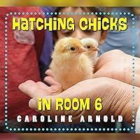 Algopix Similar Product 10 - Hatching Chicks in Room 6