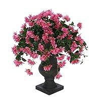 Algopix Similar Product 3 - House of Silk Flowers Faux