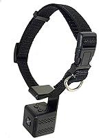 Algopix Similar Product 4 - New Digital Pet Collar Cam Camera DVR