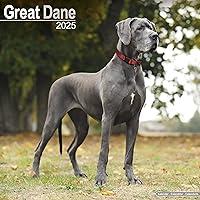 Algopix Similar Product 18 - Great Dane Euro Calendar 2025 