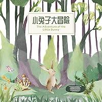 Algopix Similar Product 18 - The Adventure of the Little Bunny