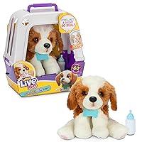 Algopix Similar Product 20 - Little Live Pets My Really Real Puppy 