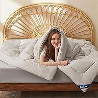 Algopix Similar Product 4 - Bedsure Comforter Duvet Insert 