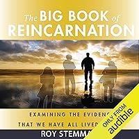 Algopix Similar Product 7 - The Big Book of Reincarnation