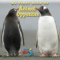 Algopix Similar Product 14 - My First Book of Animal Opposites