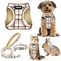 Algopix Similar Product 4 - GAMUDA Small Dog Harness Collar and