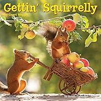 Algopix Similar Product 12 - Willow Creek Press Gettin Squirrelly