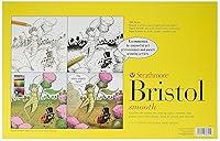 Algopix Similar Product 15 - Strathmore 300 Series Bristol Paper
