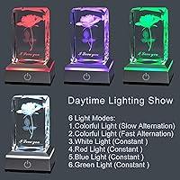 LACGO 4 PCS 6'' Wooden Light Base with Acrylic Display Boards - LED Wooden  Bases with Warm White Lighted Rectangle Wood Acrylic Pedestal Stand for