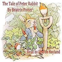 Algopix Similar Product 8 - The Tale of Peter Rabbit