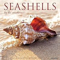 Algopix Similar Product 11 - Seashells 2025 12" x 12" Wall Calendar