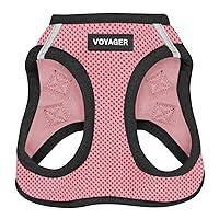 Algopix Similar Product 13 - Voyager StepIn Air Dog Harness  All