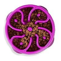 Algopix Similar Product 13 - Outward Hound Fun Feeder Slo Bowl Slow