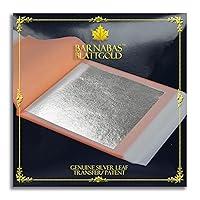 Algopix Similar Product 8 - Barnabas Blattgold Silver Leaf  Real