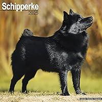 Algopix Similar Product 19 - Schipperke Calendar 2025  Square Dog