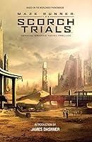 Algopix Similar Product 16 - Maze Runner The Scorch Trials The