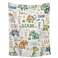 Algopix Similar Product 6 - Personalized Baby Blanket for Girls