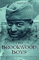 Algopix Similar Product 4 - The Brookwood Boys A paranormal