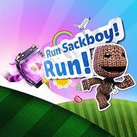 Algopix Similar Product 10 - Run Sackboy! Run!