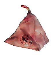 Algopix Similar Product 4 - Big Agnes mtnGLO LED Tent  Camping