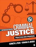 Algopix Similar Product 16 - Introduction to Criminal Justice